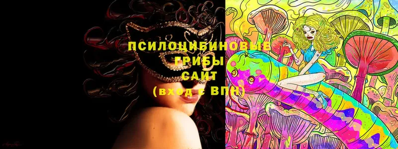 Галлюциногенные грибы Cubensis Балей